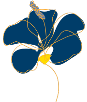 Fleur Pollen (1)