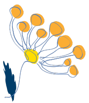 Fleur Pollen (2)